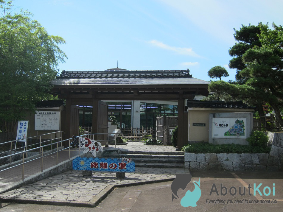 Ojiya Koi Museum