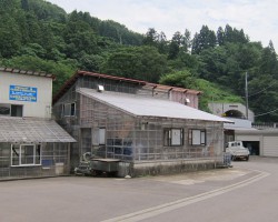 Kaneko Koi Farm, de Kujaku en Shiro Utsuri specialist