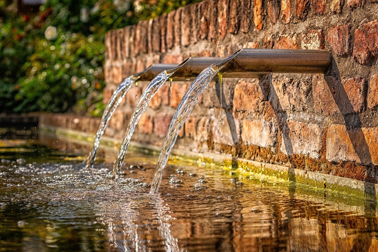 Lees meer over het artikel Water verversen in de vijver: tips en advies