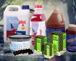 Beste bacteriën voor de vijver: tips en advies