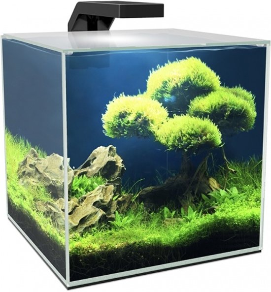 Ciano Aquarium Cube 15 LED