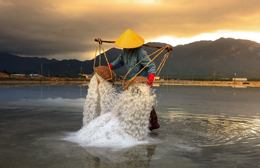 Lees meer over het artikel Draadalgen bestrijden met zout: Zout tegen algen gebruiken