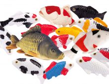 De leukste Koi knuffels en Koi beeldjes