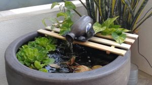 Lees meer over het artikel Een mini vijver maken als terras of balkonvijver met vissen