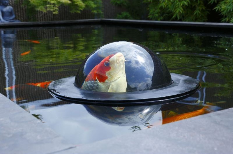 Fish Dome
