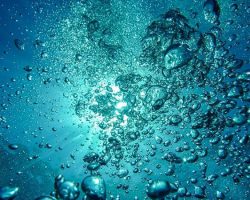 Vissen happen naar lucht in de vijver: is er zuurstoftekort?