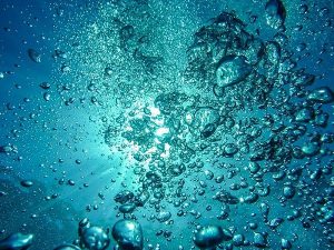 Lees meer over het artikel Vissen happen naar lucht in de vijver: is er zuurstoftekort?