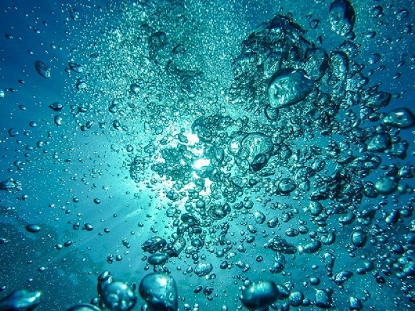 Lees meer over het artikel Vissen happen naar lucht in de vijver: is er zuurstoftekort?