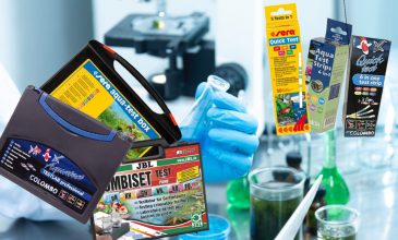 Vijverwater testen: Beste vijver testsets en test strips