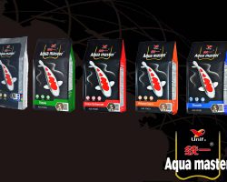 Aqua Master Koivoer: ervaring, test en kenmerken