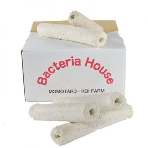 Momotaro Bacteria House