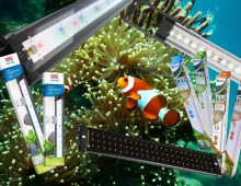 Beste aquarium LED verlichting en alles over LED verlichting