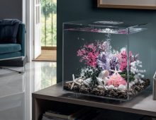 biOrb aquarium: werking, onderhoud, modellen en tips