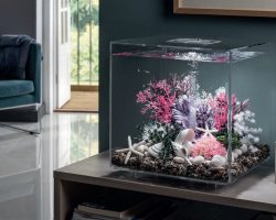 biOrb aquarium: werking, onderhoud, modellen en tips