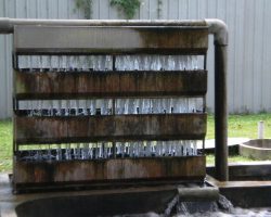 Trickle filter voor Koi vijver: werking en beste filtermateriaal