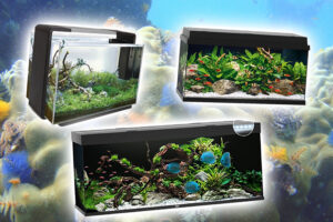 Het beste aquarium kiezen