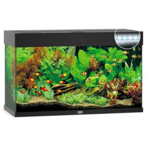 Juwel Rio 125